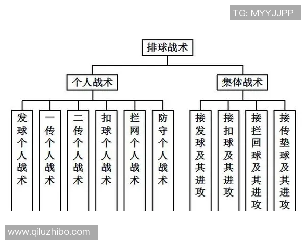 重庆排球队战术解析与训练策略探讨提升团队竞争力的关键因素
